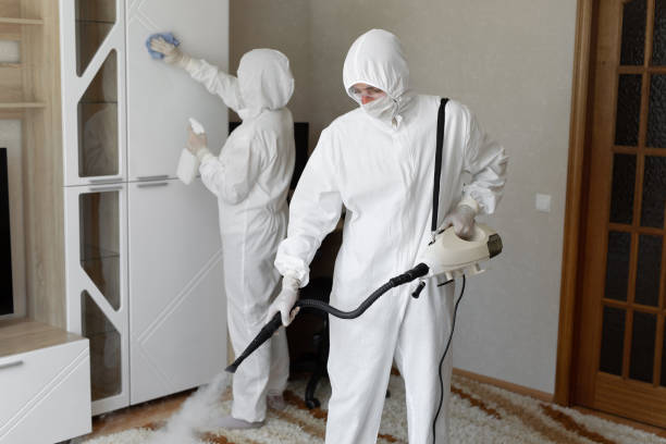 Best Post-Flood Mold Remediation in Hudson Lake, IN